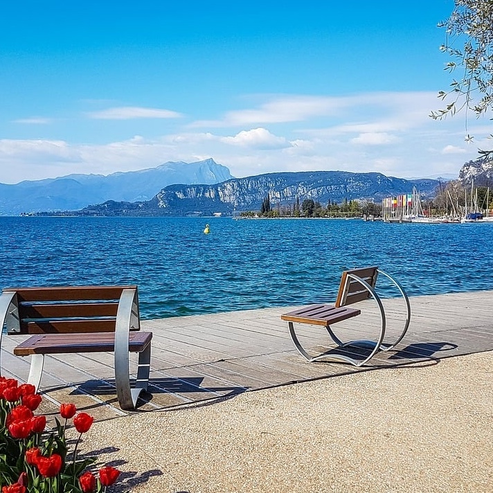 Bardolino lakefront with olive trees, cypresses and the harbour on Lake Garda